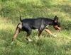 Slick (Blackwood Hunk Of Burnin’ Luv)